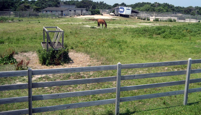 scenic waterside drive obx ocracoke ponies