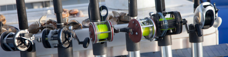 Instigator Fishing Charters Instigator Fishing Charters