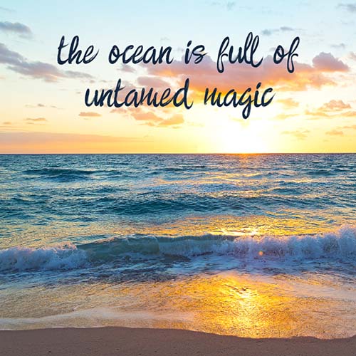 #wisdomwednesday - untamed magic #wisdomwednesday - untamed magic