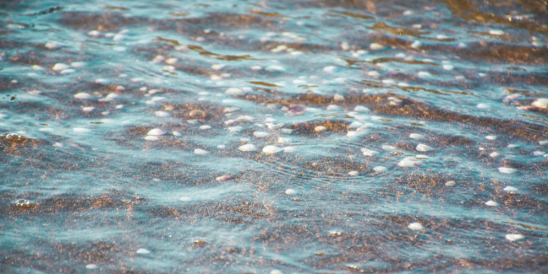 Search for sea glass Search for sea glass