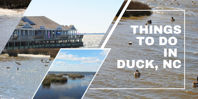 Things to Do in Duck, NC Things to Do in Duck, NC