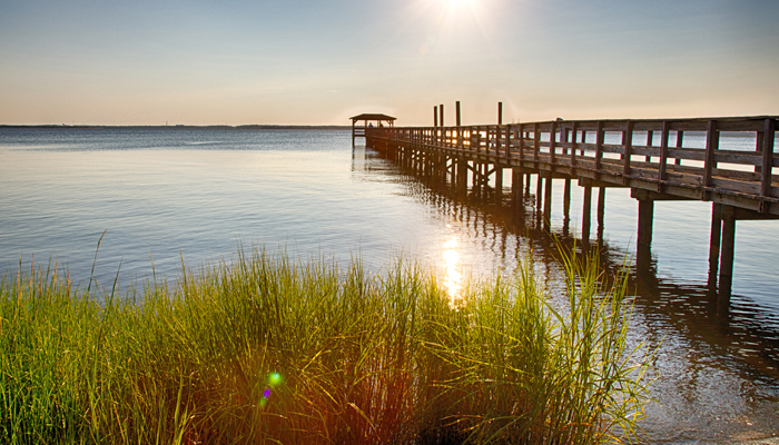 OBX Maritime Forests