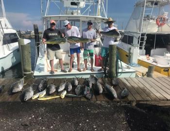 wanchese marina dolphin tours & charter boats