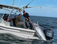 Giant Bluefin Tuna Recently Caught Off Outer Banks Coast Giant Bluefin Tuna Recently Caught Off Outer Banks Coast