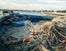 Wicked Tuna Spinoff to be Filmed Off Coast of Outer Banks This Winter Wicked Tuna Spinoff to be Filmed Off Coast of Outer Banks This Winter