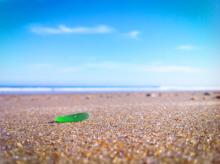 Beachcombing On The Outer Banks Beachcombing On The Outer Banks