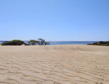 Jockey's Ridge State Park