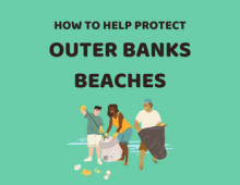 How to Protect Outer Banks Beaches Teaser How to Protect Outer Banks Beaches Teaser