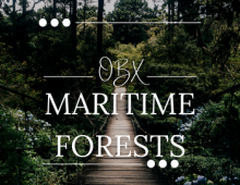 OBX Maritime Forests OBX Maritime Forests