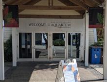 NC Aquarium on Roanoke Island Offers Virtual Programs