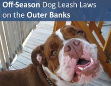 Off-Season Dog Leash Laws on the Outer Banks of North Carolina Off-Season Dog Leash Laws on the Outer Banks of North Carolina