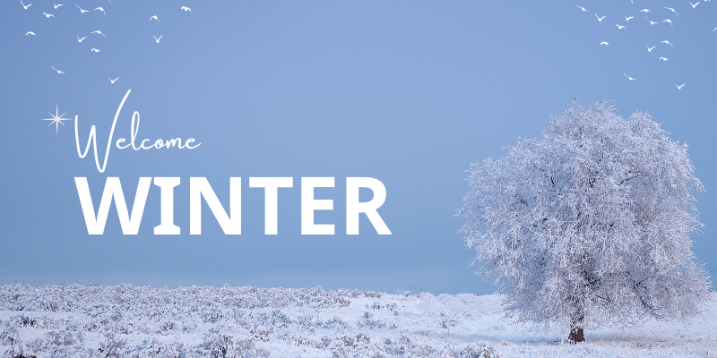 Welcome Winter Welcome Winter