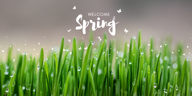Welcome Spring Welcome Spring