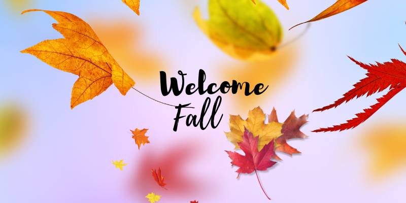 Welcome Fall Welcome Fall