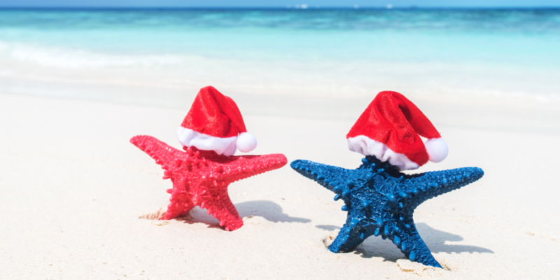Beach Holidays Red and blue starfish standing upright in the sand. The starfish have tiny red and white santa hats.