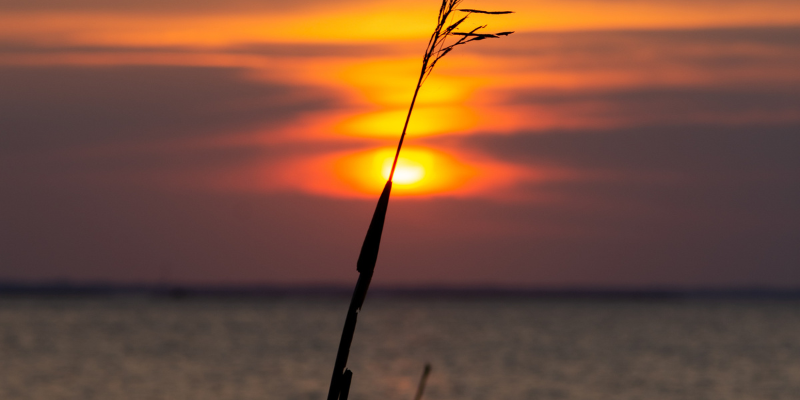 Soundfront Sunset Soundfront Sunset