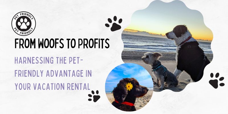 Take Advantage of Making Your Home Pet-Friendly Take Advantage of Making Your Home Pet-Friendly