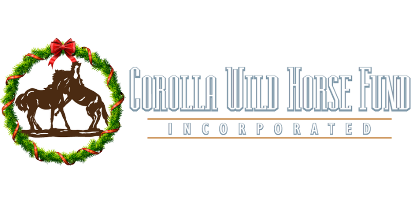 Corolla Wild Horse Fund Corolla Wild Horse Fund