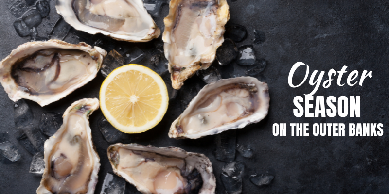 Oyster Season on the Outer Banks
