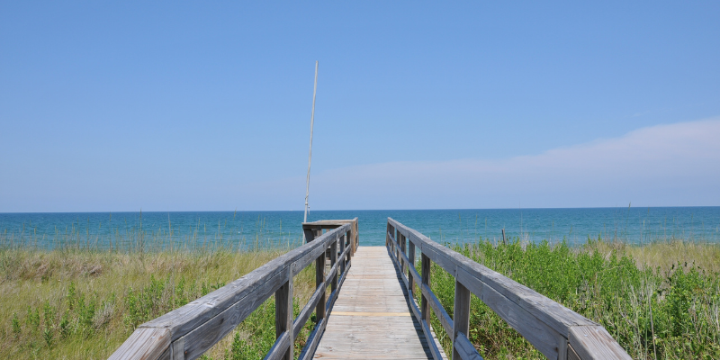 Duck Ambiance - Pier Duck Ambiance - Pier