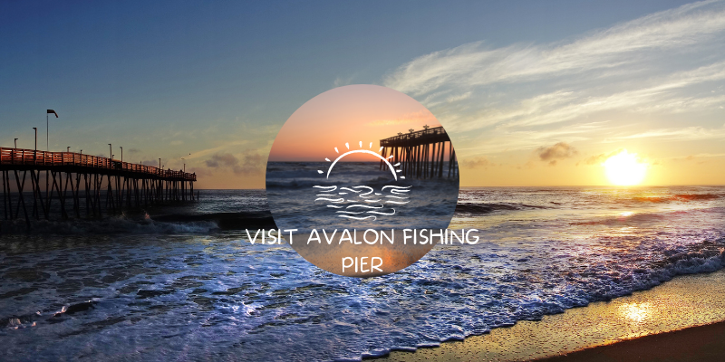 Visit Avalon Fishing Pier Visit Avalon Fishing Pier
