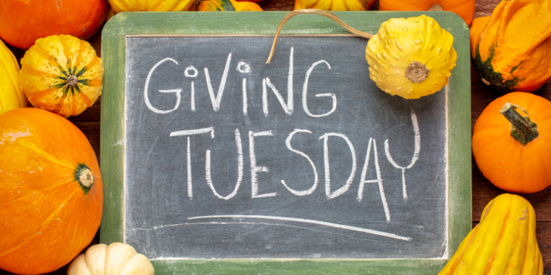 Giving Tuesday Chalkboard with "Giving Tuesday" against pumpkin background.