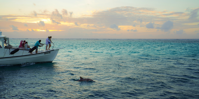 Boats & Water Adventures Boats & Water Adventures