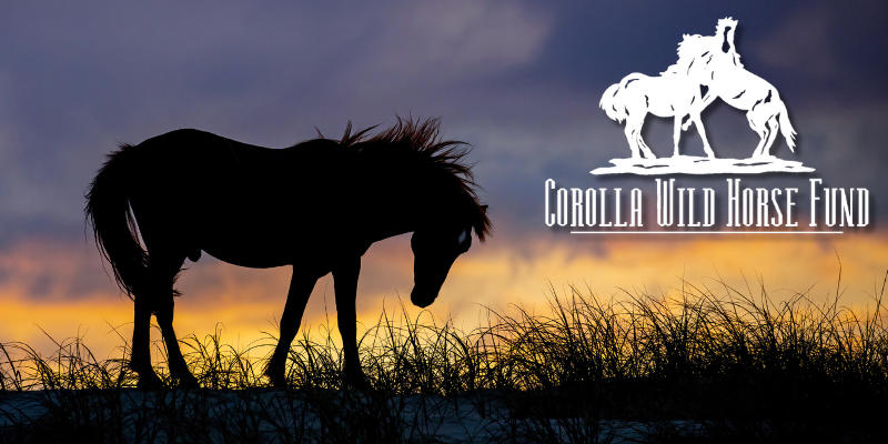 cwhf_header_image cwhf_header_image