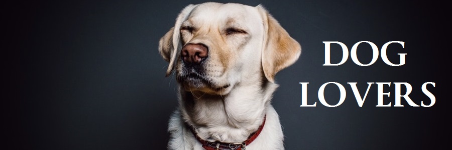 dog lovers dog lovers