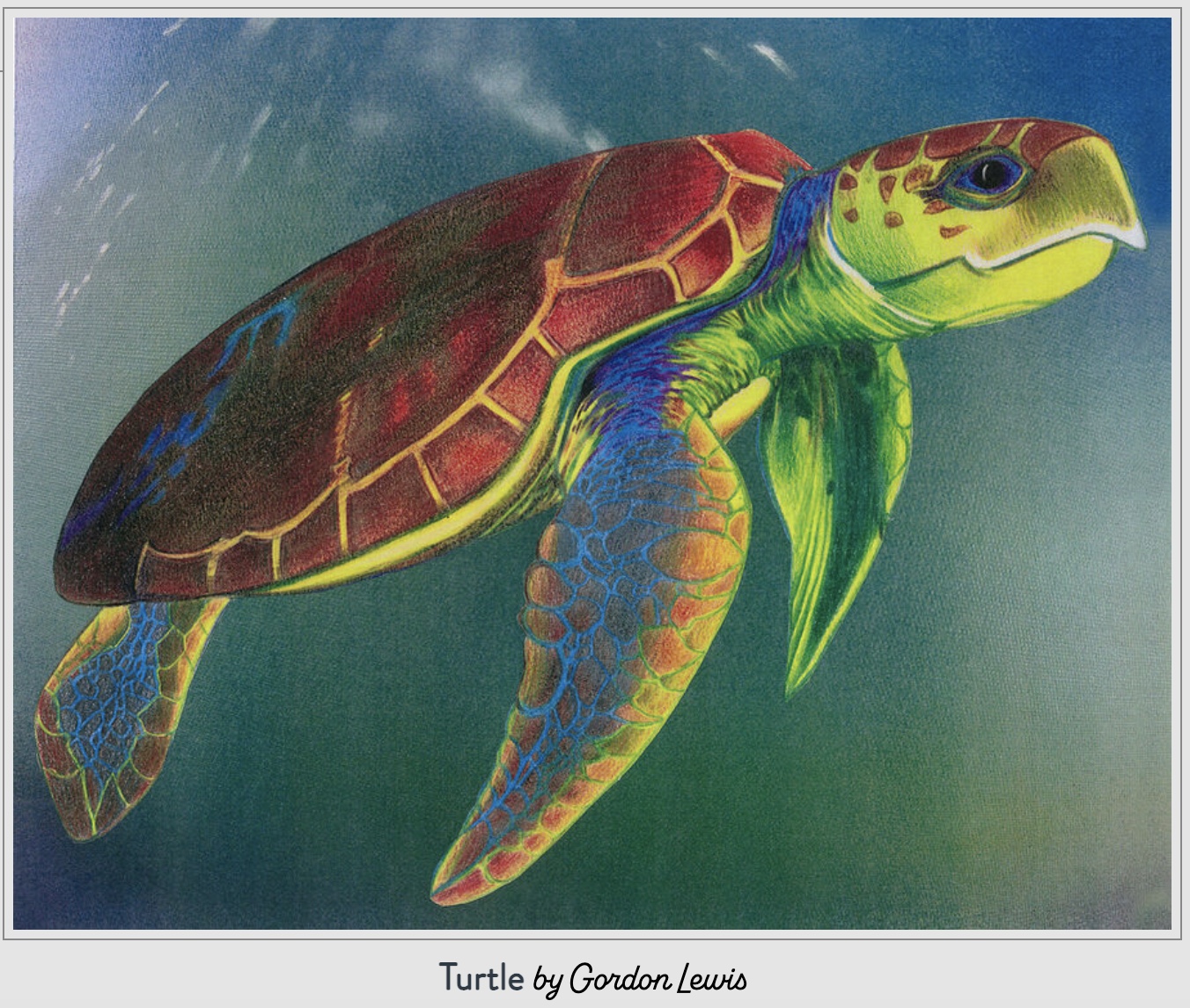 Turtle by Gordon Lewis Turtle by Gordon Lewis