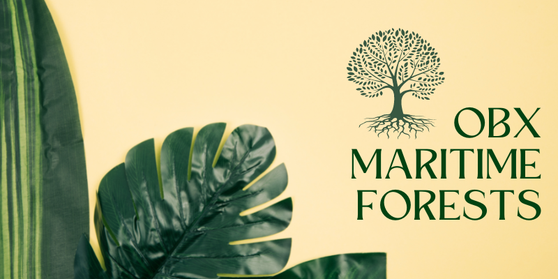 OBX Maritime Forests OBX Maritime Forests