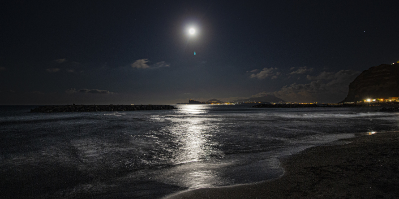Visit the beach at night to find ghost crabs Visit the beach at night to find ghost crabs; image of beach at night with full moon.