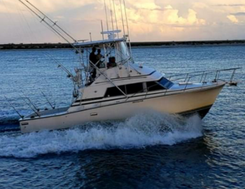 Instigator Fishing Charters Instigator Fishing Charters