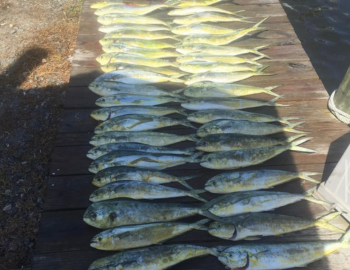 Instigator Fishing Charters Instigator Fishing Charters