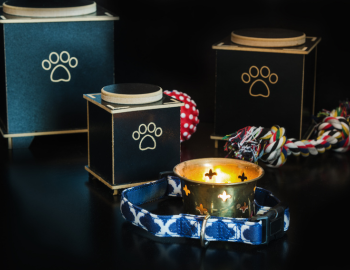 Pet Cremation Services Pet Cremation Services