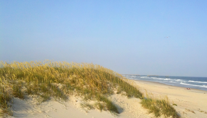 OBX Maritime Forests OBX Maritime Forests