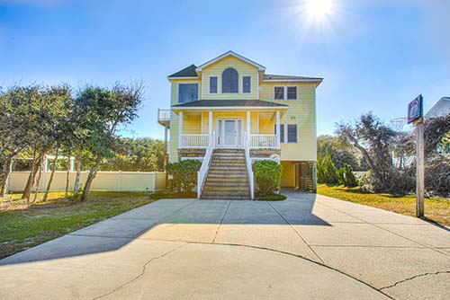 3068 - Carolina Sunshine 3068 - Carolina Sunshine