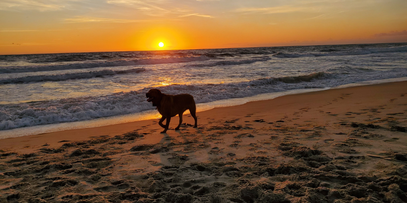 Year Round Fun Year Round Fun